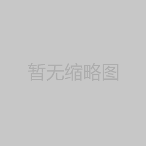 C330平板夯實機